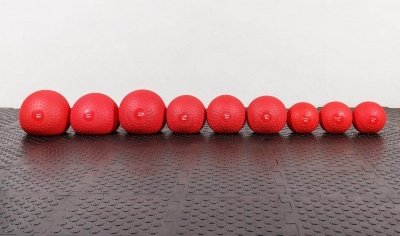 Слэмбол Stecter (SlamBall) 60кг