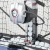 Робот настольный DONIC NEWGY ROBO-PONG 3050 XL Робот настольный DONIC NEWGY ROBO-PONG 3050 XL
