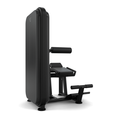 Разгибание спины / Пресс, стек 100 кг. Vision Fitness VST600-S531 | sportres.ru