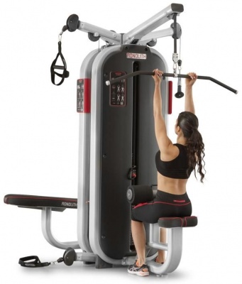 Jungle machine 4-в-1 Мультистанция Panatta 1MTH115 | sportres.ru