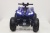 Квадроцикл RiverToys T777TT-SPIDER