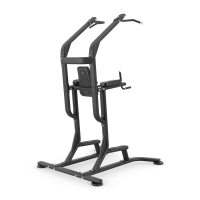 Турник-пресс-брусья Vision Fitness VST600-FW63 | sportres.ru